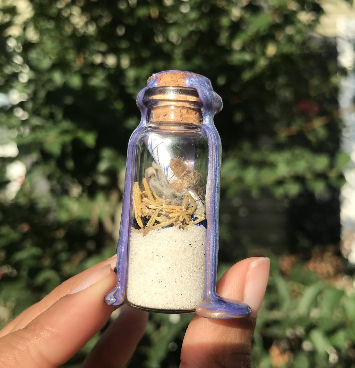 EVOLUTION SPELL JAR
